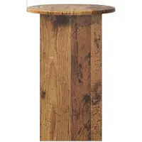 vidaXL Bijzettafeltje, gerecycled hout, Ø 39,5 x 55 cm, houtvezel
