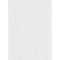 Erismann Vinylbehang 536801 - RollOver27 - Overschilderbaar Wit - 106cm x 25,00m