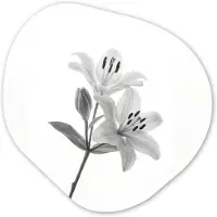 MuchoWow Organische wanddecoratie 90x90 cm - Organisch schilderij Lelies - Elegant - Zwart - Wit - Muurdecoratie woonkamer - Kamer decoratie - Schilderijen - Muurcirkel aesthetic