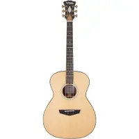 D'angelico Excel Josh Turner Tammany elektrisch-akoestische westerngitaar met gigbag