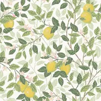 Boråstapeter Vliesbehang 5702 - Orangeri - Botanisch Wit - 53cm x 10.05m