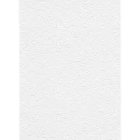 Erismann Vinylbehang 535601 - RollOver27 - Overschilderbaar Wit - 106cm x 25,00m