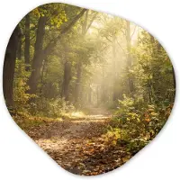 MuchoWow Organische wanddecoratie 40x40 cm - Organisch schilderij Zonlicht - Bospad - Bomen - Muurdecoratie woonkamer - Kamer decoratie - Schilderijen - Muurcirkel aesthetic
