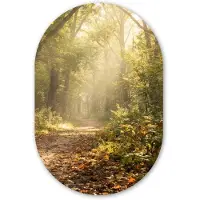 MuchoWow Muurovaal 60x90 cm - Ovale wanddecoratie Zonlicht - Bospad - Bomen - Ovalen schilderij - Muurdecoratie woonkamer - Kamer decoratie - Schilderijen - Wandcirkel