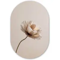 MuchoWow Muurovaal 60x90 cm - Ovale wanddecoratie Bloem - Beige - Crème - Ovalen schilderij - Muurdecoratie woonkamer - Kamer decoratie - Schilderijen - Wandcirkel