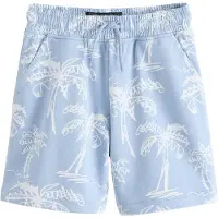Next Broek lichtblauw / wit