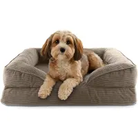 DS Produkte orthopedisch hondenbed van corduroy | ergonomische hondensofa 70x60 cm – voor kleine honden | antislipbodem | vulling en hoes wasbaar | hondenmand met traagschuim