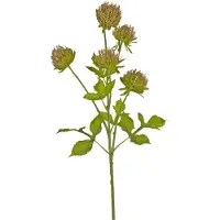 Easyplants | Kunstbloem Distel 66 cm bruin | Zijde | Nepbloemen | bruin | Onderhoudsvrij | Kant-en-klaar