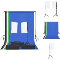 vidaXL Fotostudioset - Studioverlichtingsset- Lamp - Softbox 40 x 60 cm - Statief - Hoogte 90-208 cm - Achtergrondset met 5 kleuren - Afmetingen 1.6 x 3 m - Inclusief 3 draagtassen - Fotostudio Set