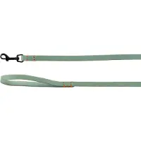 Flamingo Leano Gewoon - Looplijn Honden - Looplijn Leano Groen 130cm 15mm - 1st - 132636 - 1st