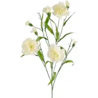 Easyplants | Kunstbloem Anjer tros 70 cm wit | Zijde | Nepbloemen | wit | Onderhoudsvrij | Kant-en-klaar