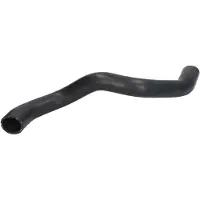 THERMOTEC Radiateurslang DWX266TT