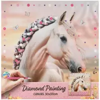 Creative Craft Group Canvas schilderijtje maken paardenthema - Horse Diamond Painting knutselset - creatief speelgoed vanaf 5 jaar