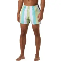 Helly Hansen Newport Swimming Shorts Veelkleurig S Man