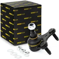 RIDEX 2462S0043P Fuseekogel