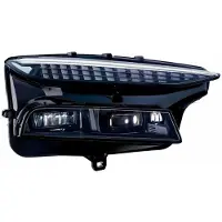 Hella 1EX 016 220-521 Koplamp