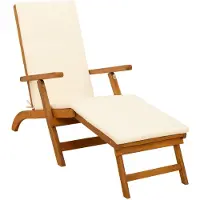 vidaXL Ligstoel die kan leunen en vouwen 55 x 146 x 91 cm