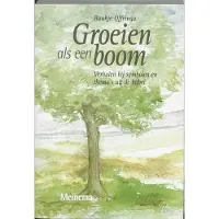 Vbk media Groeien als een boom