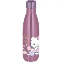 Stor Hello Kitty drinkfles – Roestvrij staal – 780 ml – Sluit goed af – Herbruikbaar – Drinkfles voor kinderen – BPA-vrij – Roze