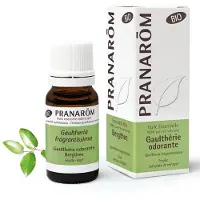 Pranarôm Essentiële Olie Bergthee Bio 10 ml Olie