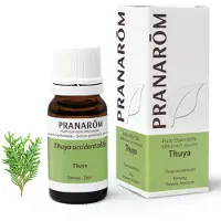 Pranarôm Essentiële Olie Thuya | 10 ml