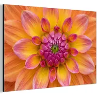 MuchoWow Aluminium schilderij 30x20 cm - Wanddecoratie metaal - Dahlia - Bloem - Oranje - Metalen muurdecoratie woonkamer - Decoratie industrieel - Foto op dibond - Industriële accessoires slaapkamer
