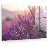 MuchoWow Glasschilderij 180x120 cm - Schilderij acrylglas - Lavendel - Paars - Zonlicht - Foto op glas - Muurdecoratie woonkamer - Wanddecoratie slaapkamer - Schilderijen