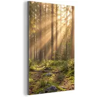 MuchoWow Aluminium schilderij 120x180 cm - Wanddecoratie metaal - Bos - Zonlicht - Gras - Metalen muurdecoratie woonkamer - Decoratie industrieel - Foto op dibond - Industriële accessoires slaapkamer