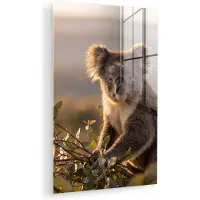 MuchoWow Glasschilderij 120x180 cm - Schilderij acrylglas - Koala - Bladeren - Ochtendlicht - Foto op glas - Muurdecoratie woonkamer - Wanddecoratie slaapkamer - Schilderijen