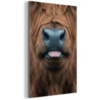 MuchoWow Aluminium schilderij 60x90 cm - Wanddecoratie metaal - Schotse hooglander - Neus - Bruin - Metalen muurdecoratie woonkamer - Decoratie industrieel - Foto op dibond - Industriële accessoires slaapkamer
