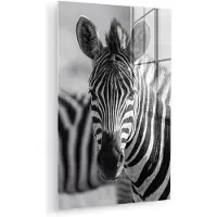 MuchoWow Glasschilderij 120x180 cm - Schilderij acrylglas - Zebra's - Zwart - Wit - Foto op glas - Muurdecoratie woonkamer - Wanddecoratie slaapkamer - Schilderijen