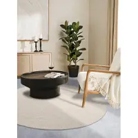 Home Collection Vloerkleed Francois Rond - Wit Title