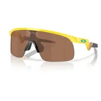 Oakley Resistor (Prizm Tungsten) | ONE SIZE