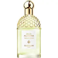 Guerlain Aqua Allegoria Nerolia Vetiver Edt Spray125 ml.
