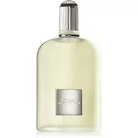 Tom Ford Grey Vetiver eau de parfum spray 100 ml