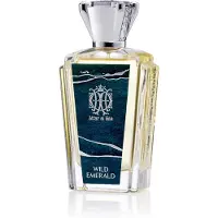 Attar al Has Wild Emerald Extrait De Parfum - 100ml | Unisex Parfum