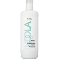Indola Repair Shampoo