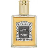 IL PROFVMO Black Dianthus Osmo Eau de Parfum - 50ml