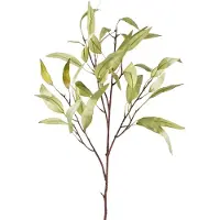 Easyplants | Kunsttak Eucalyptus Niphophila 108 cm groen | Zijde | Nepbloemen | groen | Onderhoudsvrij | Kant-en-klaar