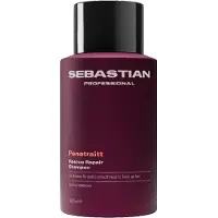 Sebastian Penetraitt Rescue Repair Shampoo