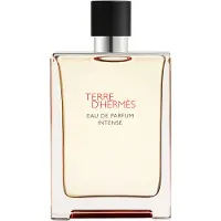 Hermès Paris Herengeuren Terre d'Herengeuren Eau de Parfum Intense 175 ml