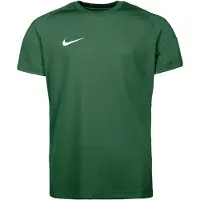 Nike Dri-FIT Park VIII Voetbalshirt Kids Donkergroen Wit