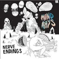 PNKS Mind Rays - Nerve Endings (LP)