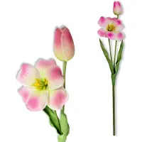 Inspiruj - Tulipan - Roze - Cieniowany - Piankbloem