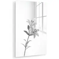 MuchoWow Glasschilderij 120x180 cm - Schilderij acrylglas - Lelies - Elegant - Zwart - Wit - Foto op glas - Muurdecoratie woonkamer - Wanddecoratie slaapkamer - Schilderijen