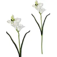Inspiruj - Freesia - Kunsttak - 59 cm - Witte Bloemen - Pianka