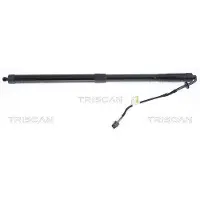 TRISCAN 8710 17304 Gasveer achterklep