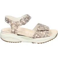 Xsensible 30312.5.428-h dames sandalen sportief