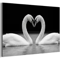 MuchoWow Aluminium schilderij 180x120 cm - Wanddecoratie metaal - Zwanen - Hart - Zwart - Wit - Metalen muurdecoratie woonkamer - Decoratie industrieel - Foto op dibond - Industriële accessoires slaapkamer