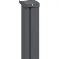 vidaXL Uittrekbaar Zijscherm 300 x 100 cm Polyester Rechthoekig Zwart